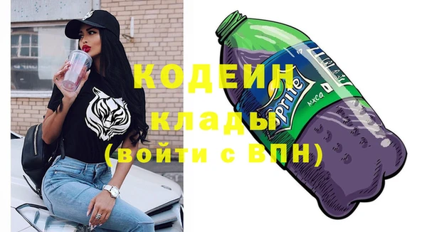 apvp Бородино