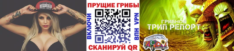 mega сайт  цена наркотик  Юхнов  Псилоцибиновые грибы мухоморы 